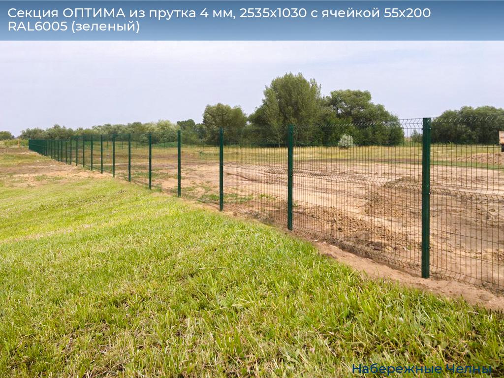 Секция ОПТИМА из прутка 4 мм, 2535x1030 с ячейкой 55х200 RAL6005 (зеленый), naberezhnye-chelny.doorhan.ru