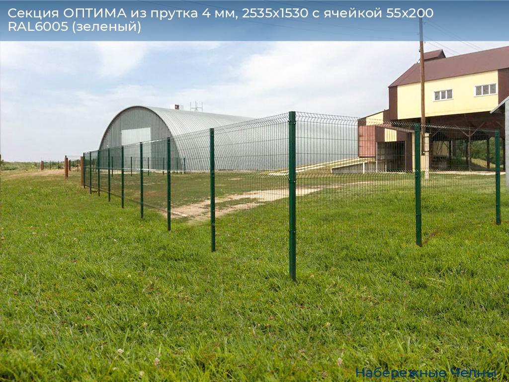 Секция ОПТИМА из прутка 4 мм, 2535x1530 с ячейкой 55х200 RAL6005 (зеленый), naberezhnye-chelny.doorhan.ru
