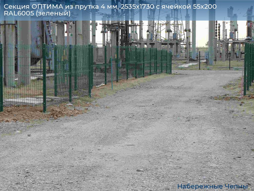 Секция ОПТИМА из прутка 4 мм, 2535x1730 с ячейкой 55х200 RAL6005 (зеленый), naberezhnye-chelny.doorhan.ru